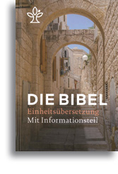 Die Bibel mit Informationsteil