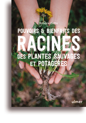Pouvoir & bienfaits des racines, des plantes sauvages et potagères