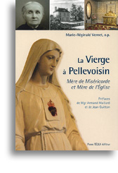 La Vierge à Pellevoisin
