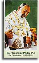 Saint Padre Pio de Pietrelcina (1887-1968)